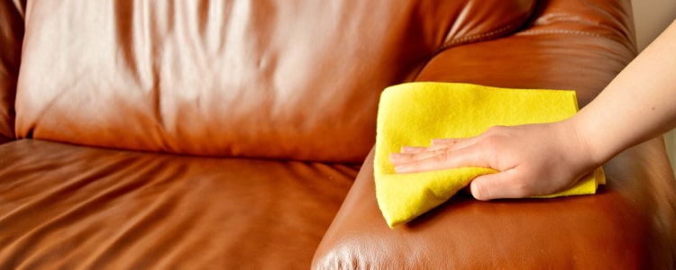 leather couch cleaning sydney
